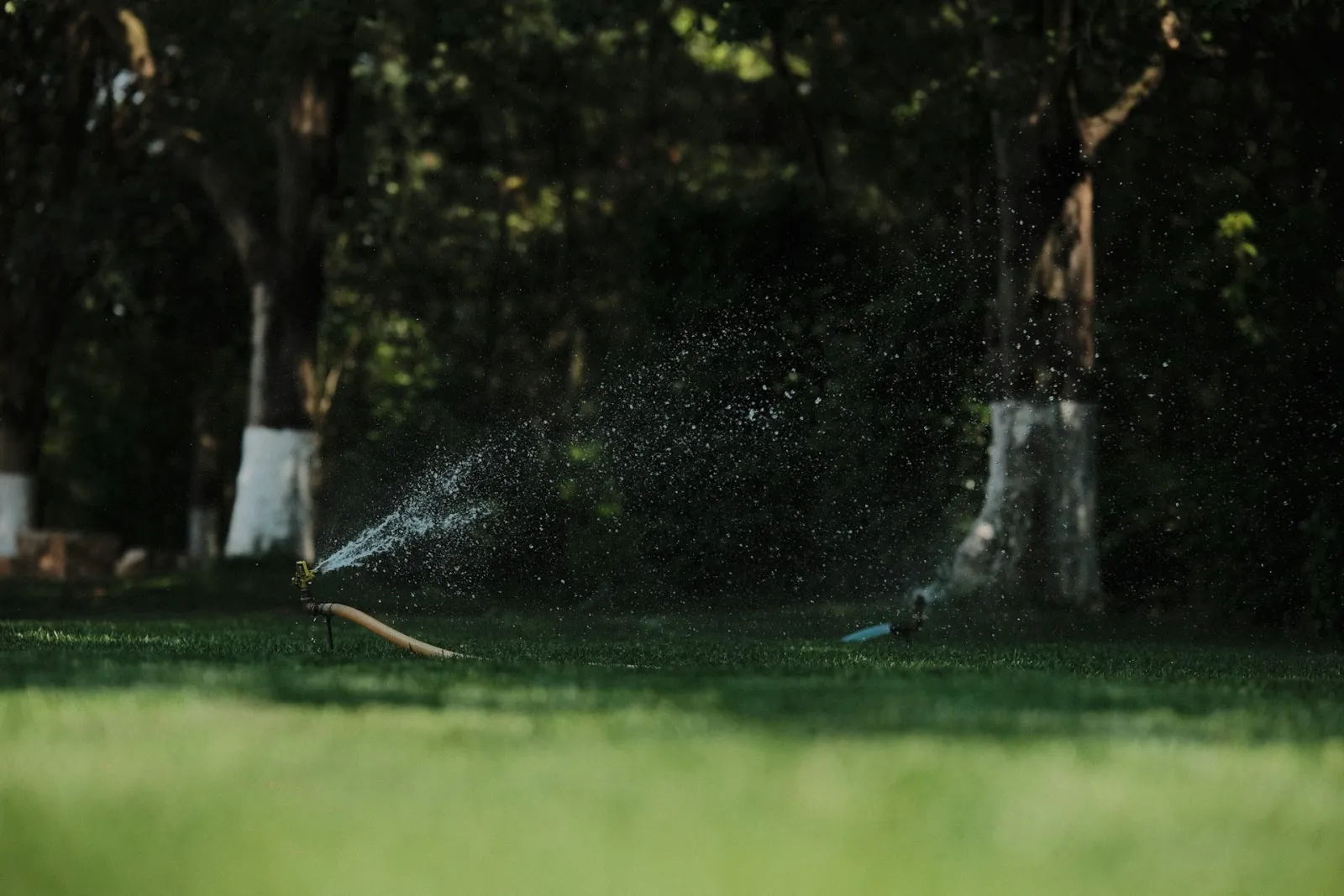 Jardin résidentiel arrosé en Gironde, contexte d'une recherche de fuite d'eau extérieure