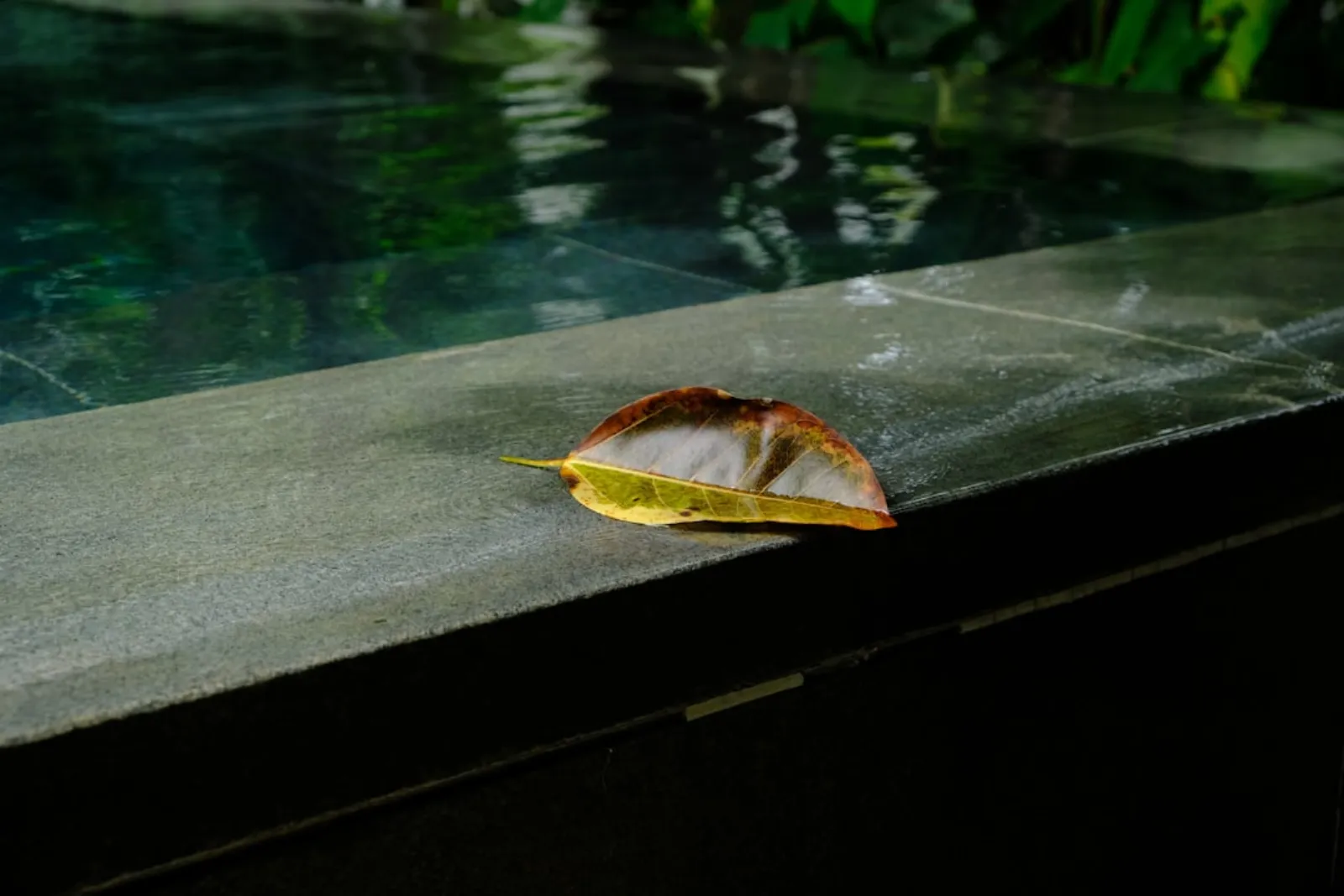 Bord de piscine et niveau d'eau au skimmer en Gironde, contexte d'une recherche de fuite