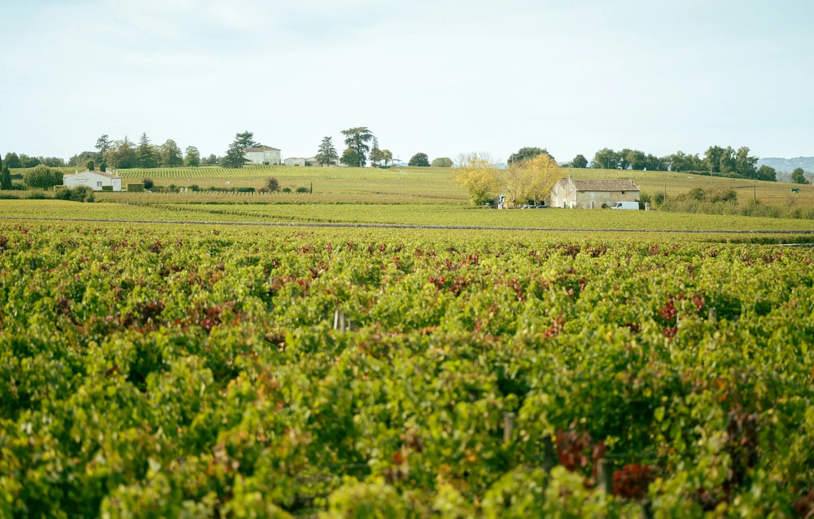 Propriété viticole du Libournais près de Libourne, zone d'intervention recherche de fuite en Gironde